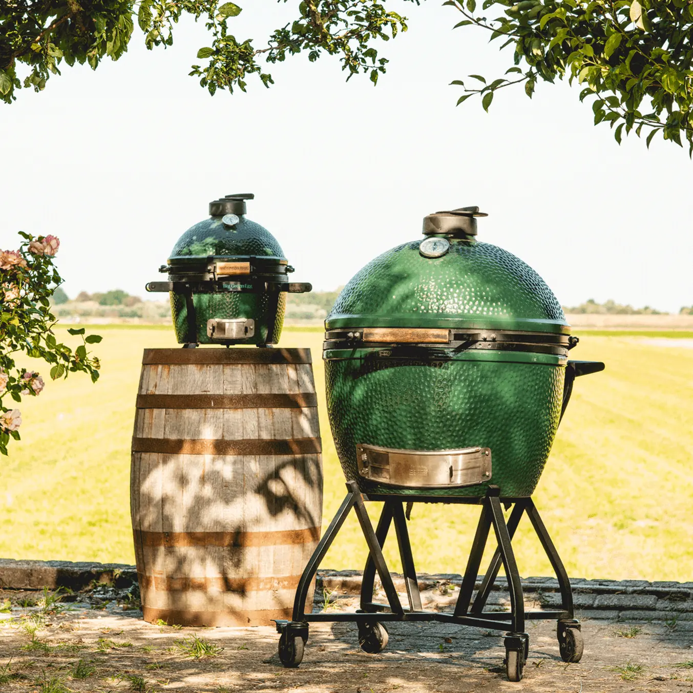 MiniMax Big Green Egg Package - Image 6